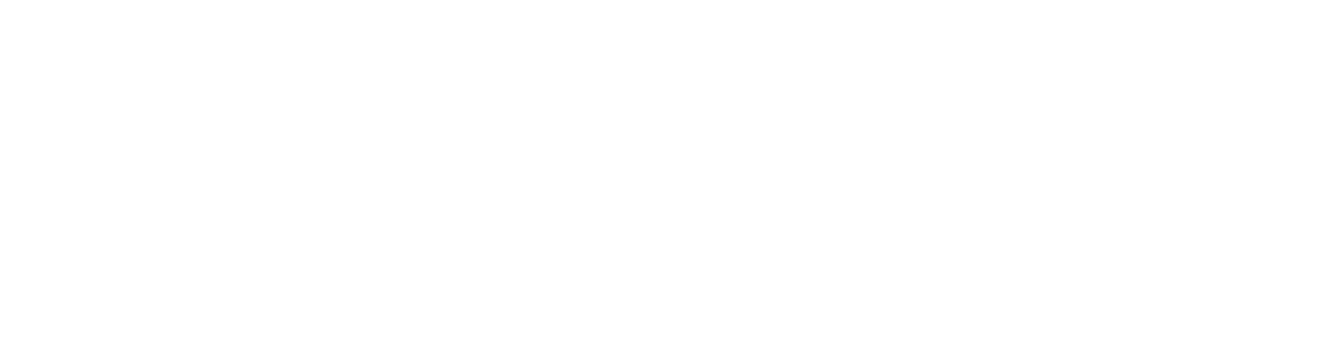 Rolling Cars'95 Logo